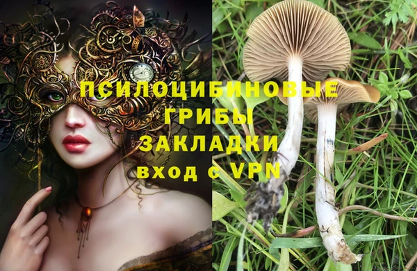 не бодяженный Алексин