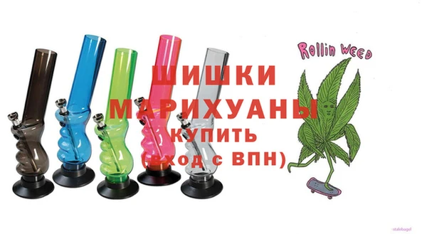индика Алзамай