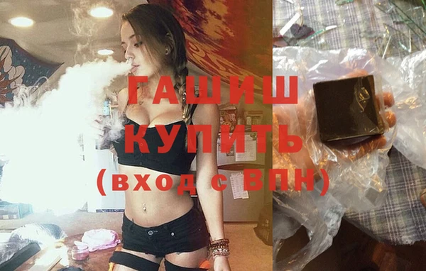 индика Алзамай