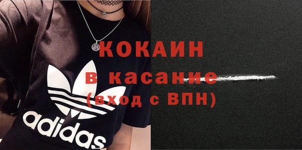 индика Алзамай
