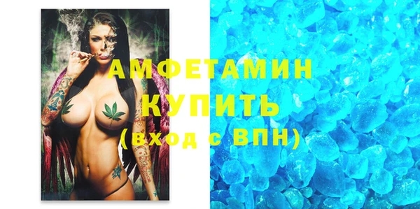 индика Алзамай