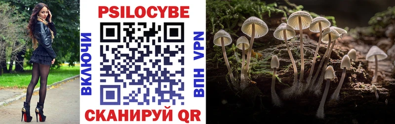 даркнет Telegram  Приморск  Галлюциногенные грибы Magic Shrooms  как найти закладки 